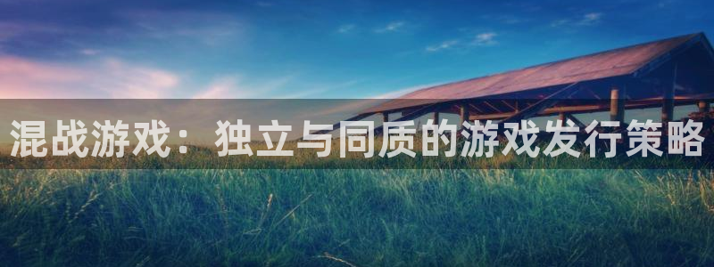广州完美电竞官网投资：混战游戏：独立与同质的游戏发行策略
