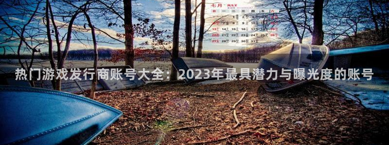 完美电竞官网子年度最佳图书：热门游戏发行商账号大全：2023年最具潜力与曝光度的账号