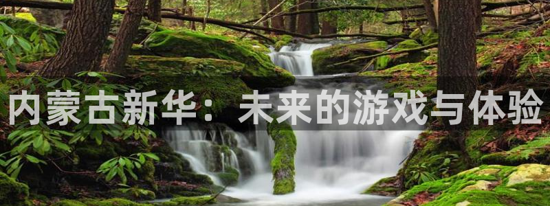 完美电竞注册平台登录入口：内蒙古新华：未来的游戏与体验