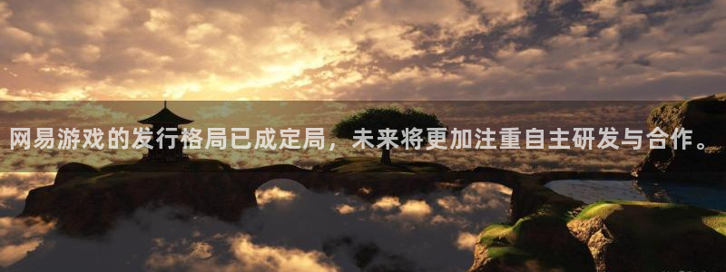 完美电竞官网子图片：网易游戏的发行格局已成定局，未来将更加注重自主研发与合作。