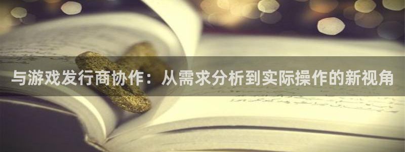 完美电竞官网子怎么样：与游戏发行商协作：从需求分析到实际操作的新视角