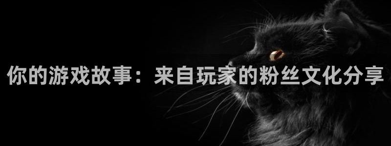 完美电竞官网集团有限公司：你的游戏故事：来自玩家的粉丝文化分享