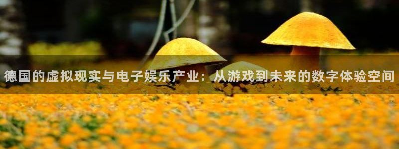 陕西完美电竞官网子文化创意干啥的：德国的虚拟现实与电子娱乐产业：从游戏到未来的数字体验空间