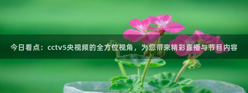 178免费足球直播：今日看点：cctv5央视频的全方位视角，为您带来精彩直播与节目内容