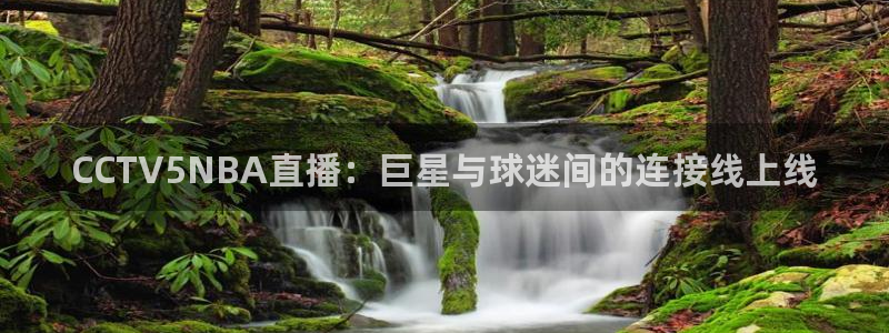 雨燕体育直播178：CCTV5NBA直播：巨星与球迷间的连接线上线