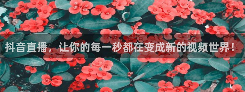 178篮球直播nba回放：抖音直播，让你的每一秒都在变成新的视频世界！