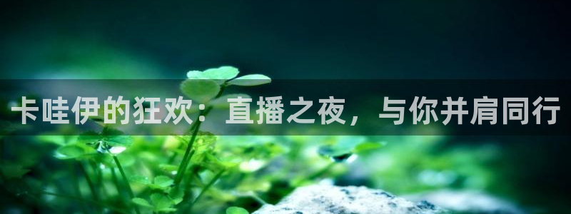 178直播体育app官网下载app新版.最新进.org：卡哇伊的狂欢：直播之夜，与你并肩同行