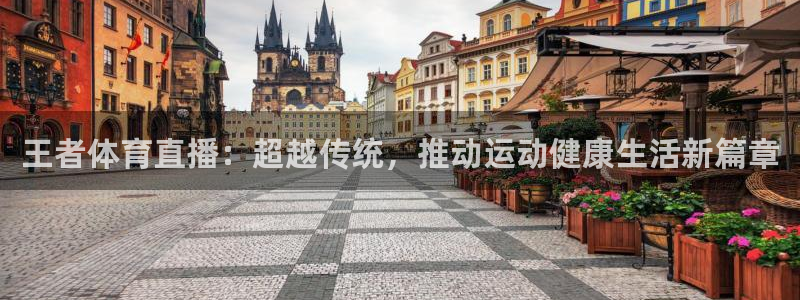 178体育：王者体育直播：超越传统，推动运动健康生活新篇章