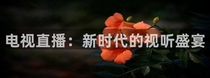178体育赛事直播app：电视直播：新时代的视听盛宴