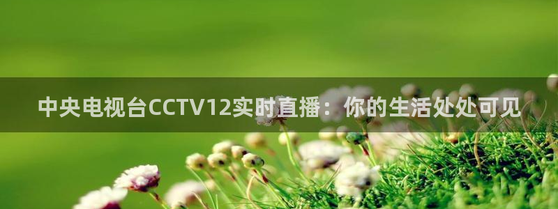 178直播体育在线：中央电视台CCTV12实时直播：你的生活处处可见
