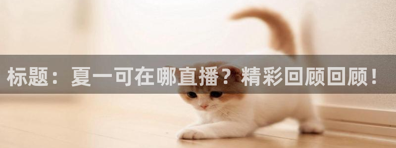 178足球直播免费高清在线：标题：夏一可在哪直播？精彩回顾回顾！