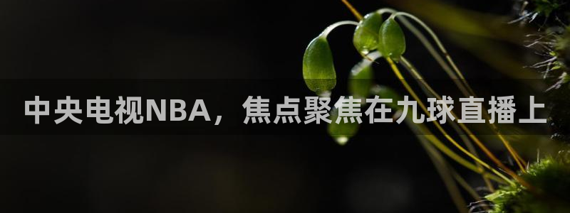 178足球赛事直播：中央电视NBA，焦点聚焦在九球直播上