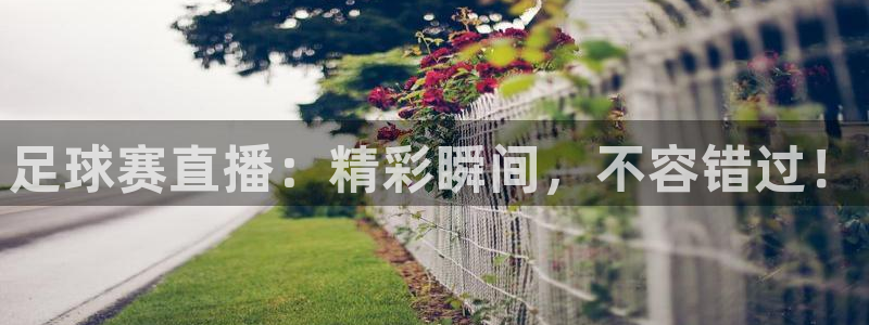 178直播免费体育直播：足球赛直播：精彩瞬间，不容错过！