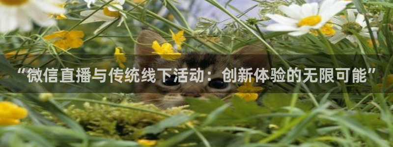 178体育直播下载官网：“微信直播与传统线下活动：创新体验的无限可能”