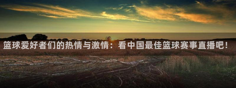178足球在线直播观看直播：篮球爱好者们的热情与激情：看中国最佳篮球赛事直播吧！
